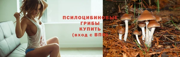 круглые Алзамай