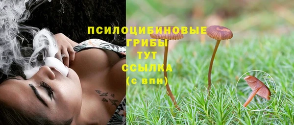 круглые Алзамай