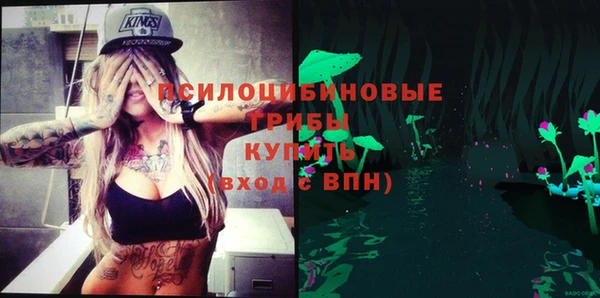 круглые Алзамай